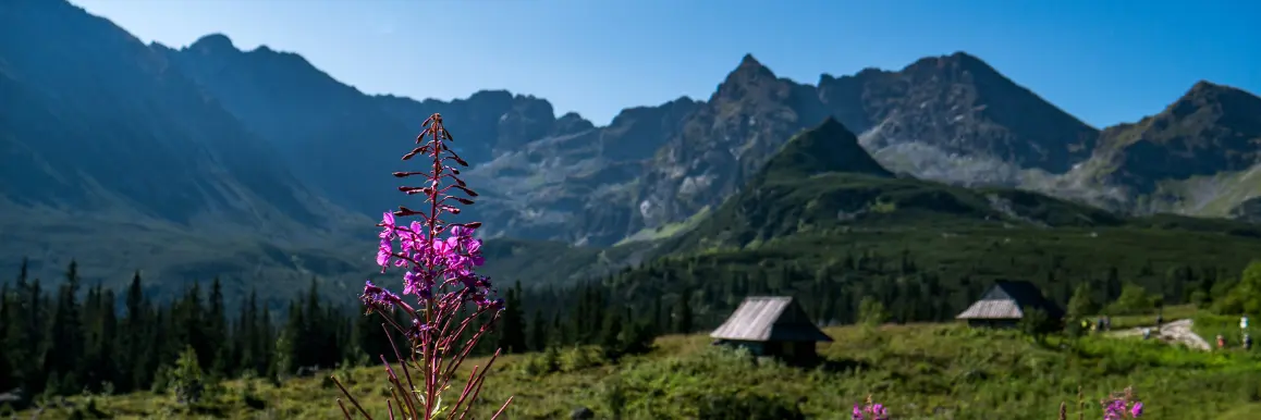 Turnusy rehabilitacyjne PFRON atrakcje - Dolina Kościeliska