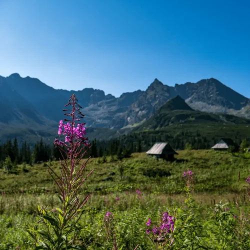 Turnusy rehabilitacyjne PFRON atrakcje